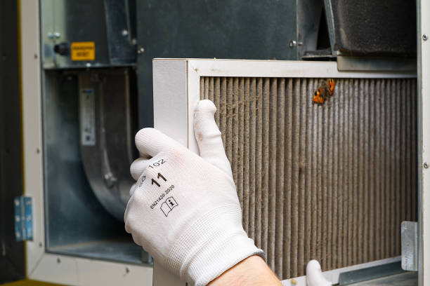 Best Professional Duct Cleaning Services  in Weldon, CA